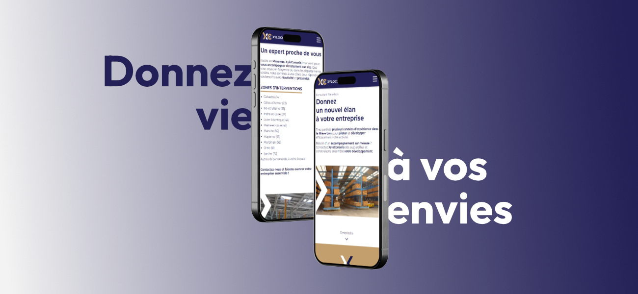 Xylo Conseils